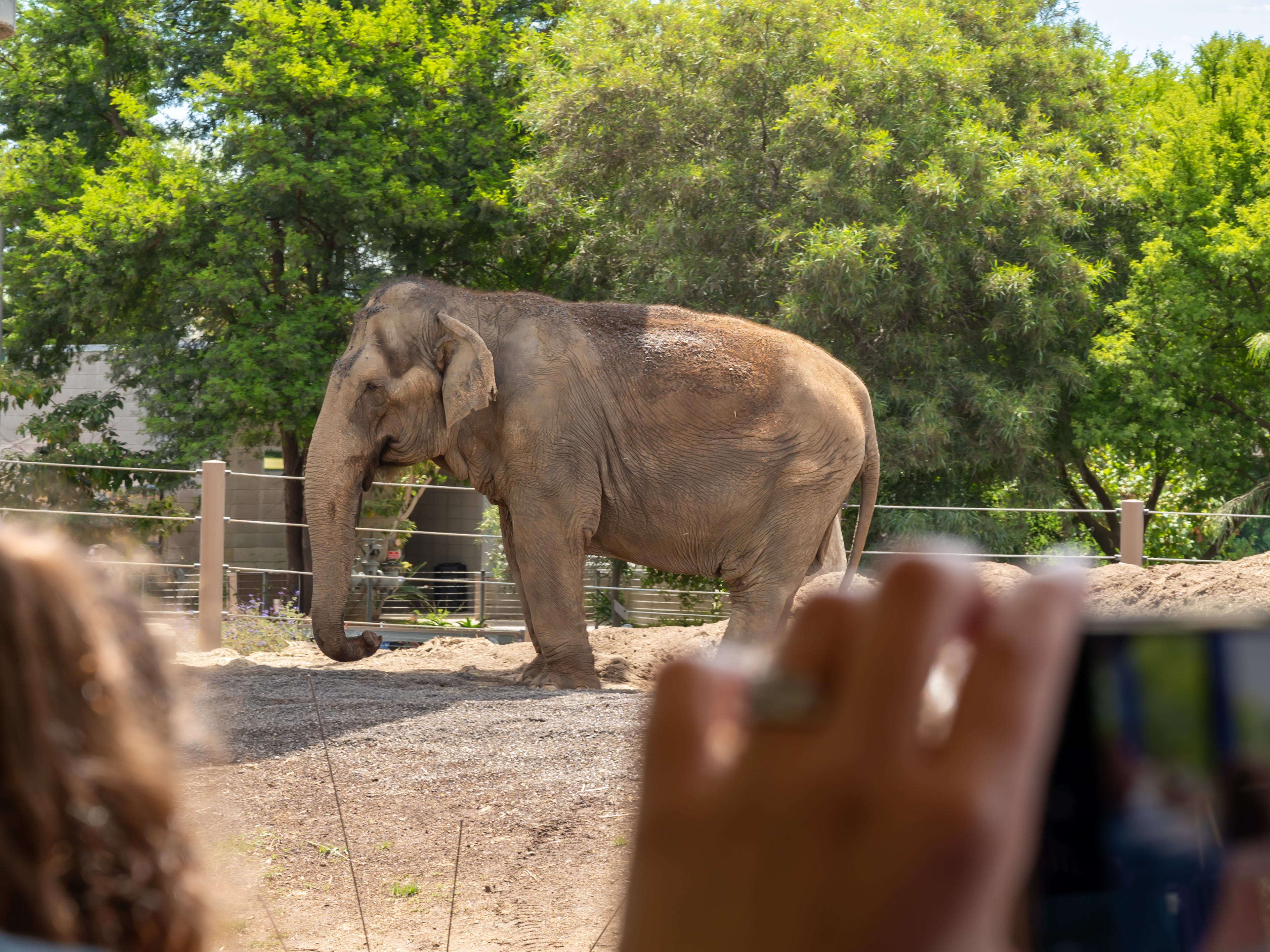 Free Things to Do Near San Diego Zoo